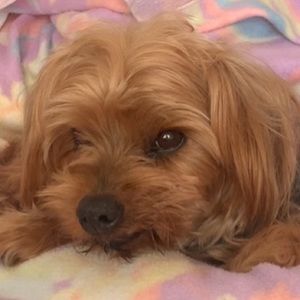 Meet your Posher, Staci